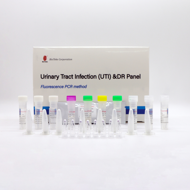 عدوى المسالك البولية (UTI) ولوحة DR (طريقة مضان PCR) 