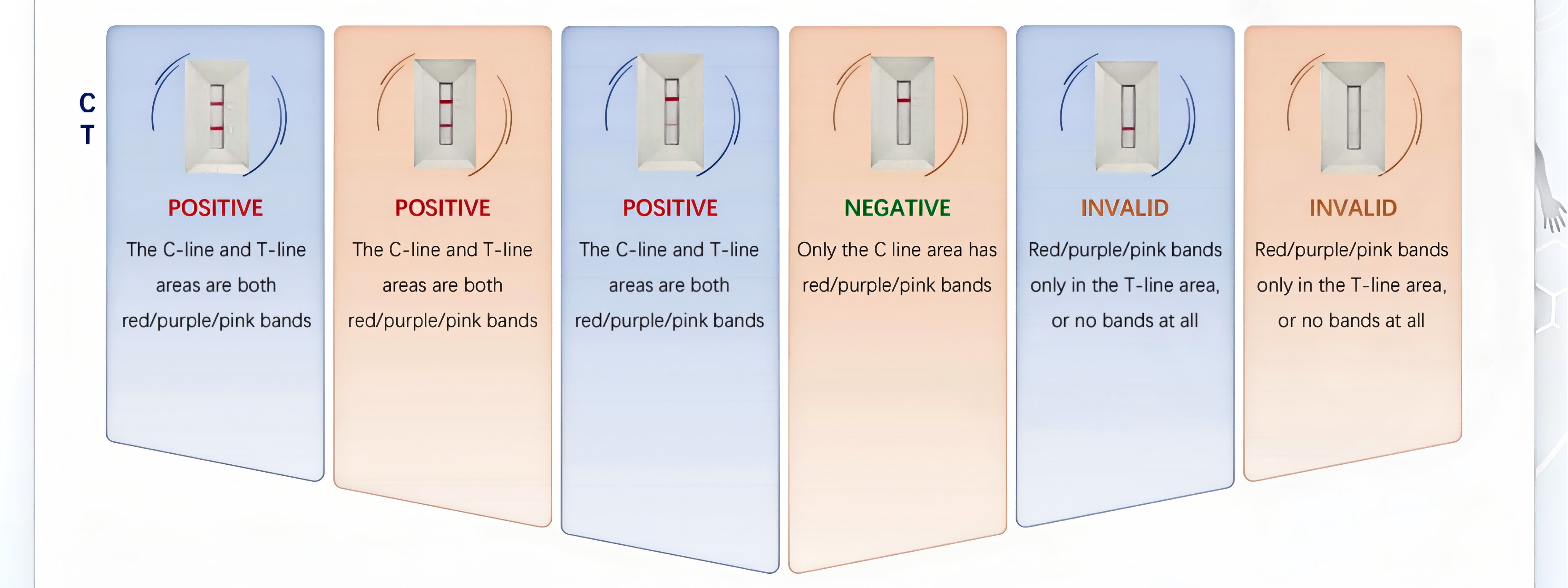 bioteke covid ag test results نتائج اختبار كوفيد AG