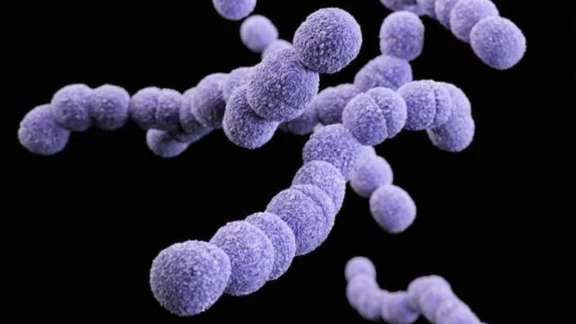 strep a اختبار