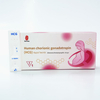 طقم اختبار البول السريع HCG