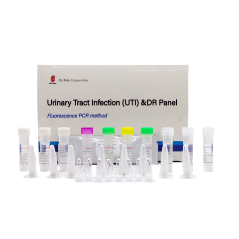 عدوى المسالك البولية (UTI) ولوحة DR (طريقة مضان PCR) 