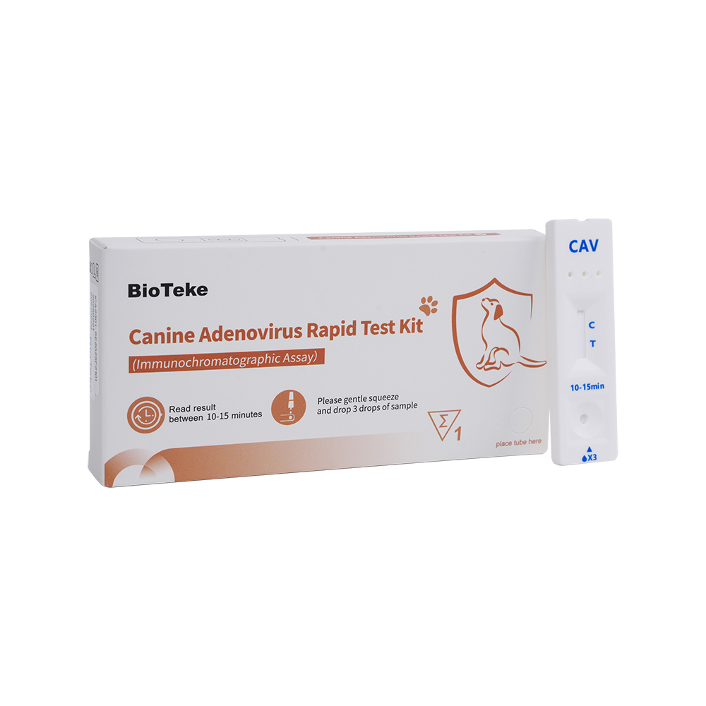 اختبار CAV السريع