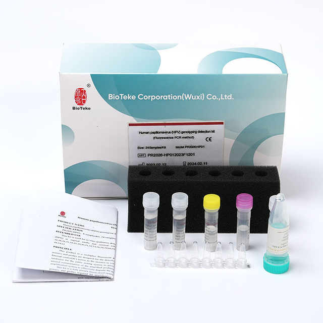 مجموعة الكشف عن التنميط الجيني لفيروس الورم الحليمي البشري (HPV) (طريقة الفلورة PCR)