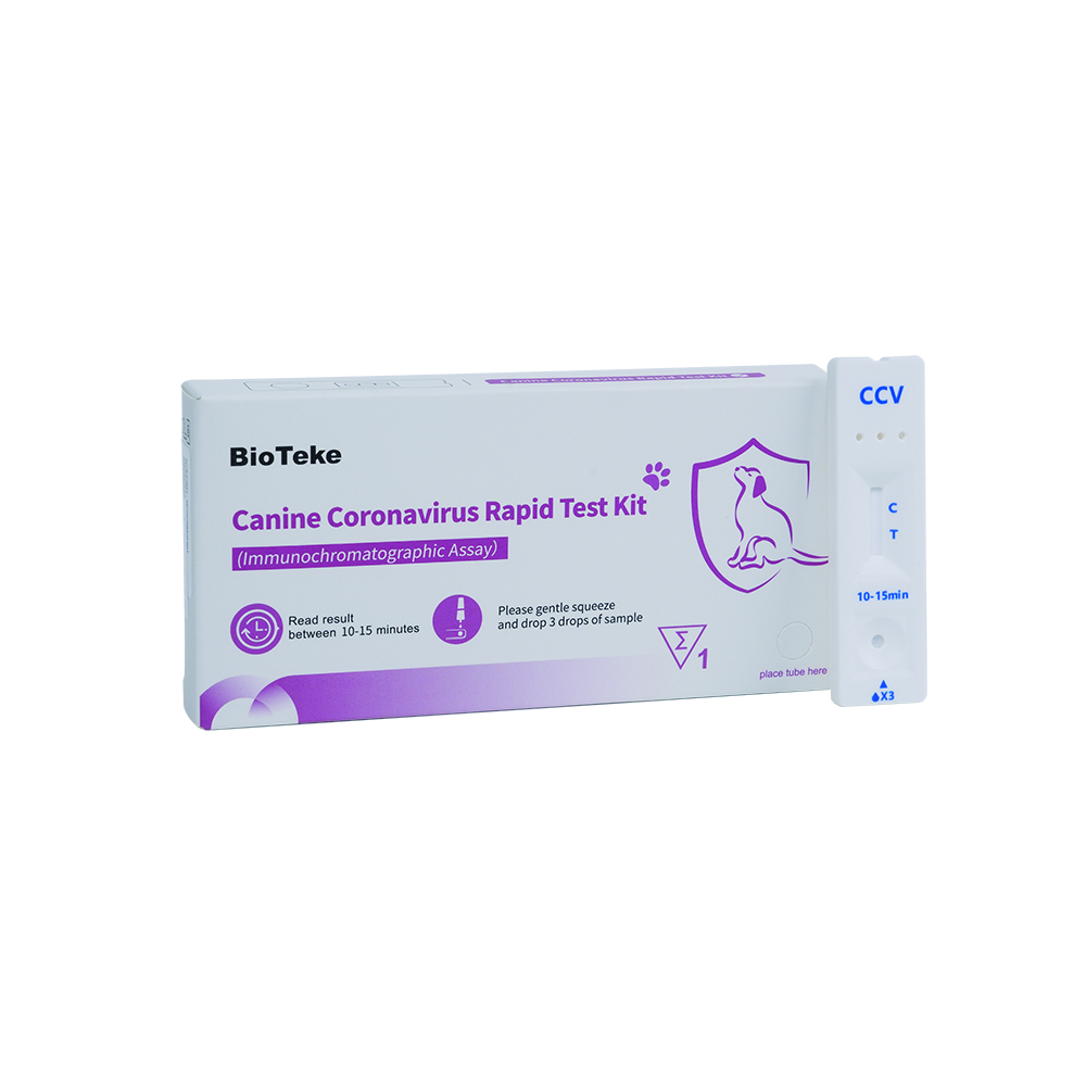 اختبار CCV السريع