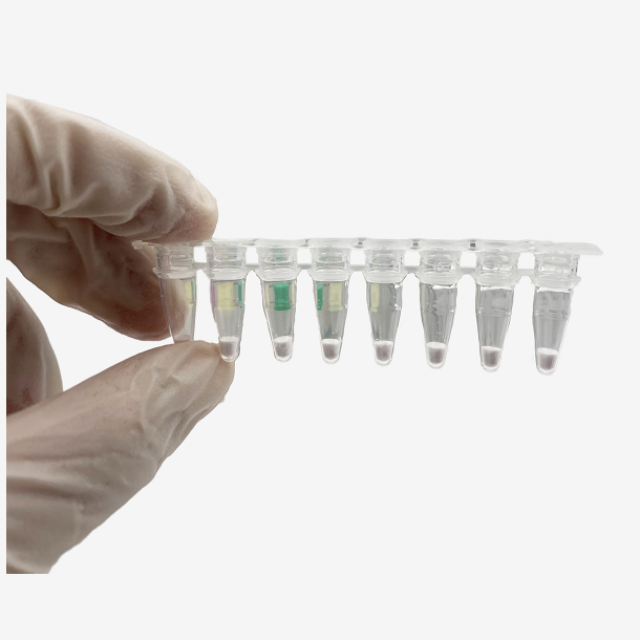 تمت الموافقة على درجة حرارة الغرفة من قبل CE باستخدام QuantStudio القابل للنقل استخدم مجموعة تشخيص PCR