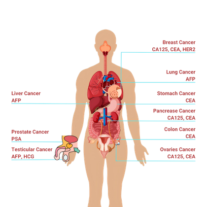 Bioteke Tumour Markers Test Kits.png