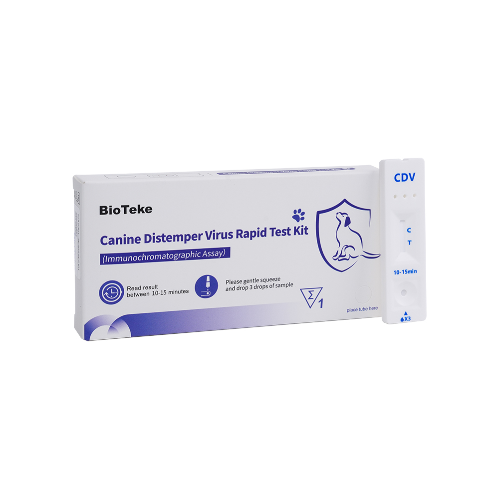 اختبار CDV السريع