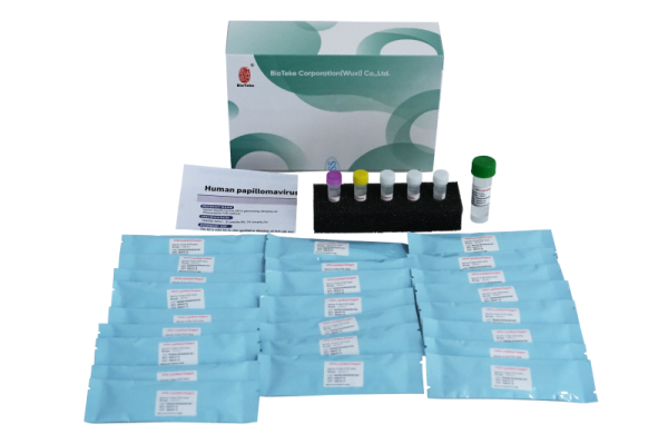 مجموعة الكشف عن التنميط الجيني لفيروس الورم الحليمي البشري HPV (طريقة PCR الفلورية) 