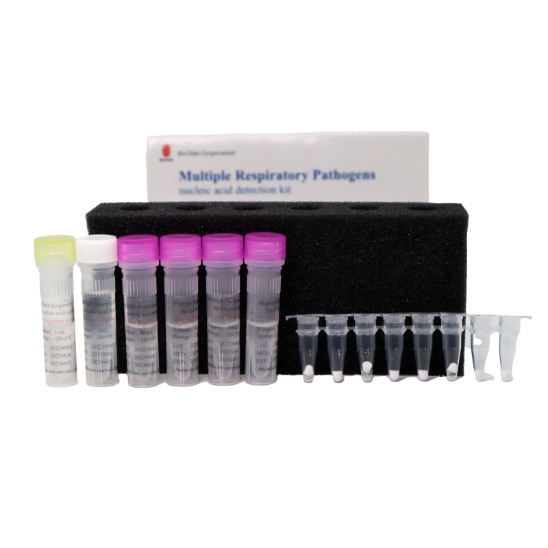 Bioteke مجموعة أدوات الكشف عن الأحماض النووية لمسببات الأمراض التنفسية المتعددة (طريقة تفاعل البوليميراز المتسلسل الفلوري)