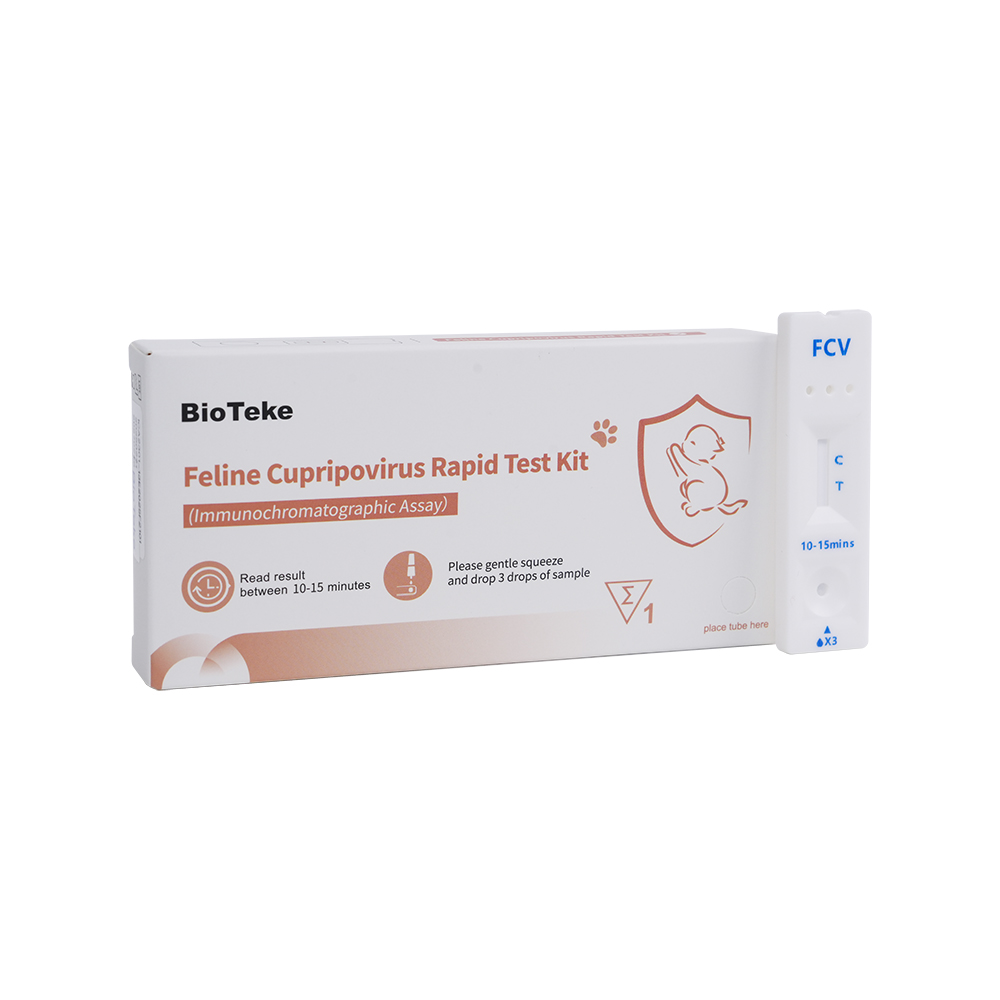 اختبار FCV السريع
