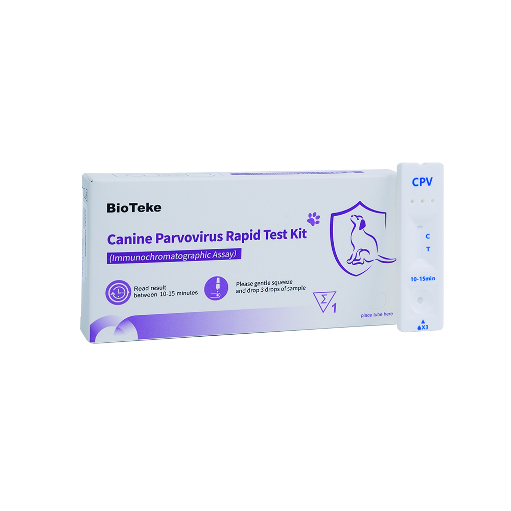 اختبار CPV السريع